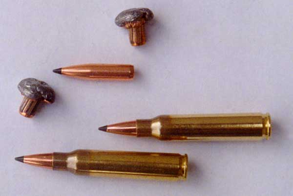 AR-15 5.56mm Tactical Ammo