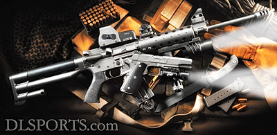 D&L Sports™ AR-15 with Buttstock
