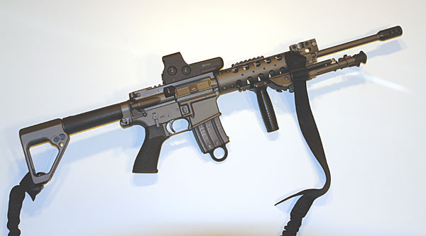 AR-15 with Eotech sight
