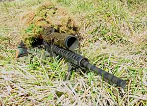 AR-15