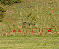 Wyoming hunting land and shooting range