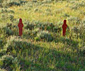 Wyoming hunting land and shooting range