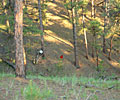 Wyoming hunting land and shooting range