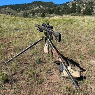 Precision D&L Sports AR Rifle