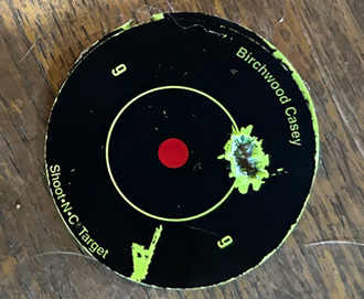 Precision D&L Sports AR Rifle Target